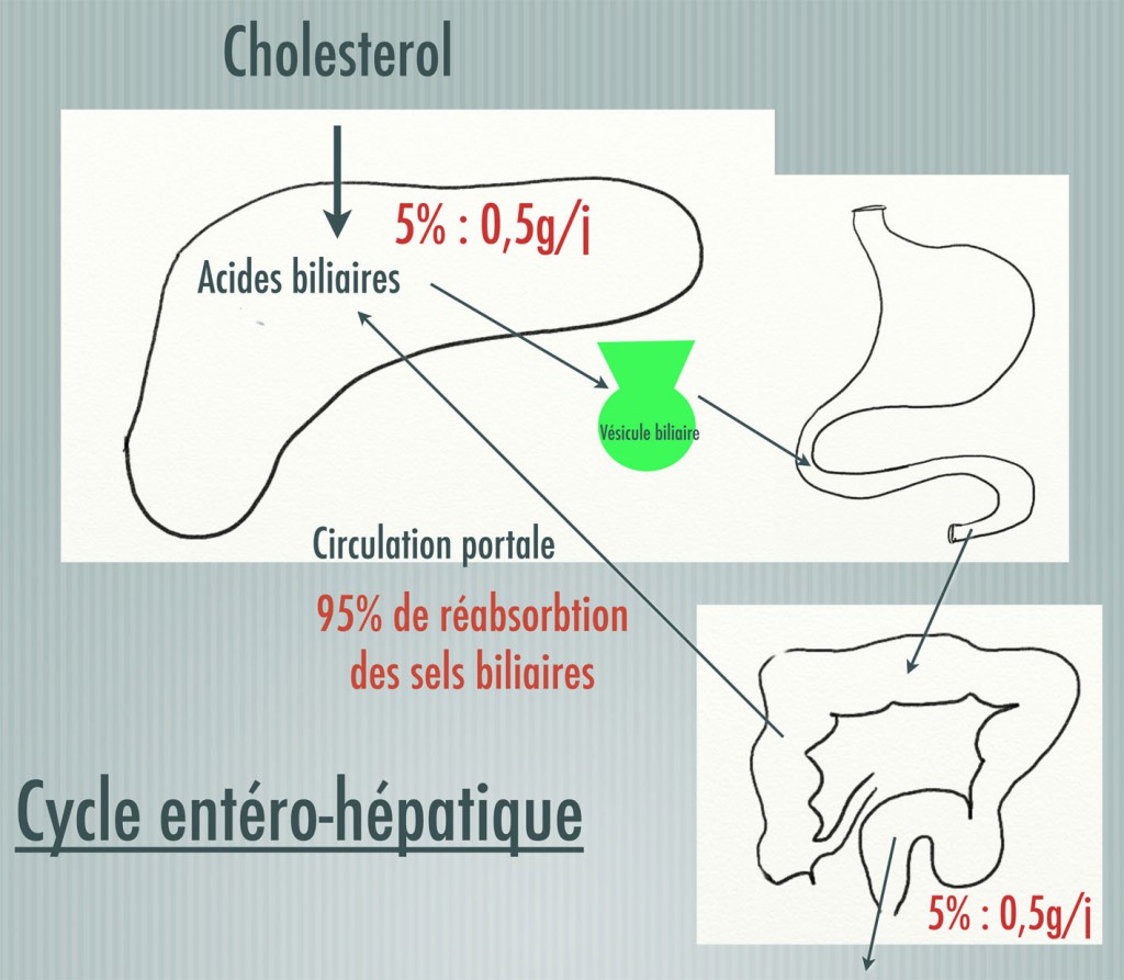 2013Cycle entero