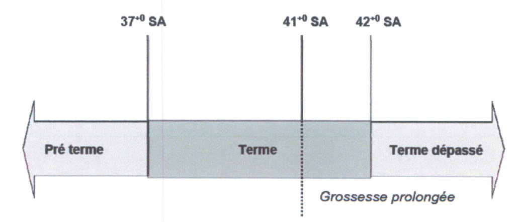TabA-definition-du-terme